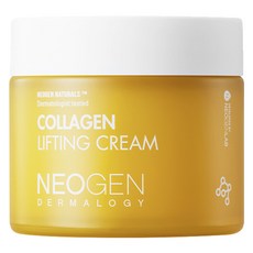 네오젠 더마로지 콜라겐 리프팅 크림, 70ml, 1개