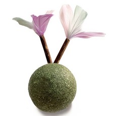 핼로키튼 고양이 다래박하 캣닢 뚜기, 혼합색상, 1개