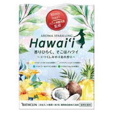 바스크린 아로마 스파클링 하와이, 240g, 1개