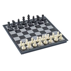 B2win柔軟的多樣趣味玩具愛好西洋棋, 1個, 混色