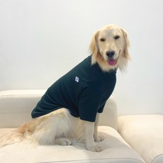 Barkdog 狗狗高領T恤, 深綠色, 1個