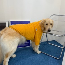 Barkdog 狗狗高領T恤, 芥末黃, 1個