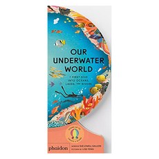 Our Underwater World : A First Dive Into Oceans Lakes and Rivers, Phaidon Press