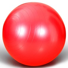 피어니스트 홈트레이닝 유산소 짐볼, 레드