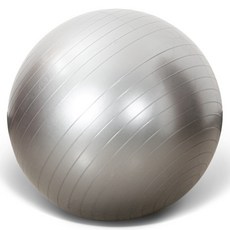 피어니스트 홈트레이닝 유산소 짐볼, 실버