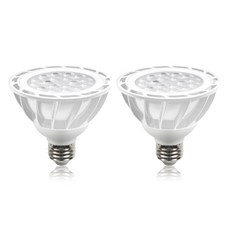 DAYSTAR HOUSE LED PAR30 E26 聚光型燈泡 15W 白色, 燈泡色, 2個