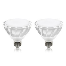 DAYSTAR HOUSE LED PAR30 E26 擴散型燈泡 15W 白色, 晝光色, 2個