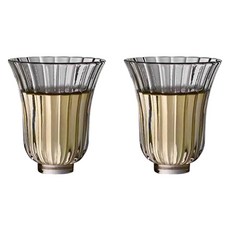 프렌치마르스 럭셔리 호박꽃 유리찻잔 FM177, 투명, 2개