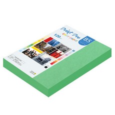 paperculture Print Pro 彩色影印紙 120g No 11 深綠色 220張, B5, 1個
