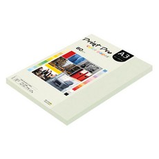 종이문화 프린트프로 칼라복사지 No 18 라이트그레이, A3, 125개