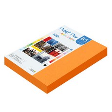 paperculture Print Pro 彩色影印紙 120g No 27 橘色, B5, 220個