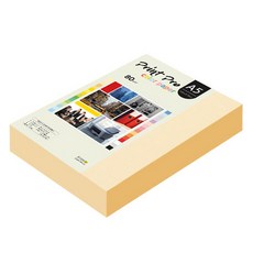 paperculture Print Pro 彩色影印紙 No 02 象牙白, A5, 500個