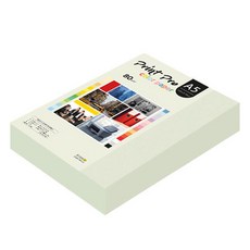 paperculture Print Pro 彩色影印紙 No 18 淺灰色 80g, A5, 500個