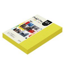 paperculture Print Pro 彩色影印紙 80g No 08 亮黃色, B5, 340個