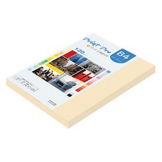 paperculture Print Pro 彩色影印紙 120g No 02 象牙白, B4, 110個