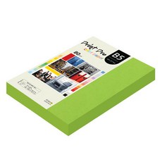 paperculture Print Pro 彩色影印紙 80g No 10 鮮綠色, B5, 340個