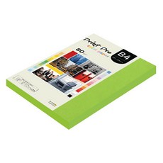 paperculture Print Pro 彩色影印紙 No 10 鮮綠色 80g, B4, 170個