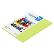 paperculture Print Pro 彩色影印紙 No 09 亮綠色 120g, 55個, B4