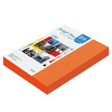 paperculture Print Pro 彩色影印紙 No 28 皇家橘色 120g, B4, 220個