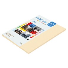 종이문화 프린트 프로 칼라복사지 120g No 02 아이보리, 40개
