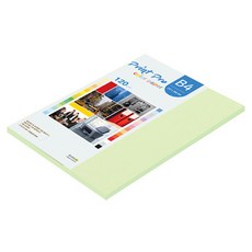 paperculture Print Pro 彩色影印紙 No 13 翡翠綠 120g, B4, 55個