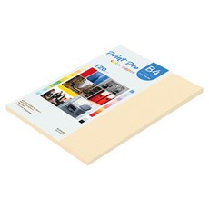 paperculture Print Pro 彩色影印紙 120g No 02 象牙白, B4, 55個
