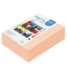 paperculture Print Pro 彩色影印紙 No 26 蜜桃色 120g, 440個, B5