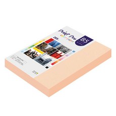 paperculture Print Pro 厚磅彩色影印紙 205g No 26 蜜桃色, B5, 132個