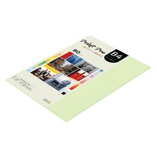 paperculture Print Pro 彩色影印紙 No.13 翡翠綠 80g, B4, 42個