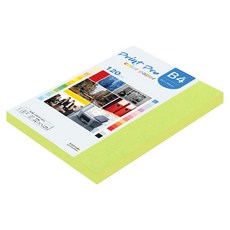 paperculture Print Pro 薄型彩色影印紙 No 09 亮綠色 120g, B4, 110個