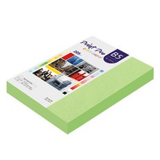 paperculture PrintPro 厚磅彩色影印紙 205g No 12 綠色, B5, 132個