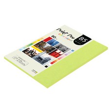 종이문화 프린트프로 칼라복사지 80g No 09 브라이트그린, B5, 85개