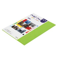 종이문화 프린트프로 칼라복사지 No.10 후레쉬그린 205g, A3, 12개