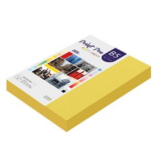 paperculture Print Pro 厚磅彩色影印紙 205g No 06 深黃色, B5, 132個