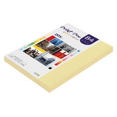 paperculture PrintPro 厚磅彩色影印紙 No 05 黃色 205g, B4, 66個