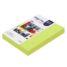 paperculture Print Pro 厚磅彩色影印紙 No 09 亮綠色 205g, B5, 132個