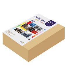 paperculture Print Pro 厚磅彩色影印紙 No.04 淺黃色 205g 264張, 264個, B5