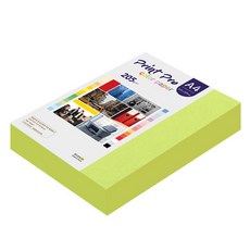 종이문화 프린트프로 두꺼운 칼라복사지 No.09 브라이트그린 205g 200p, A4, 200개