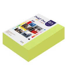 paperculture Print Pro 厚磅彩色影印紙 No.09 亮綠色 205g 264張, B5, 1個