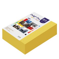 paperculture PrintPro 厚磅彩色影印紙 No.06 深黃色 205g 264張, B5, 1個