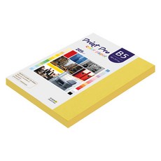 paperculture Print Pro 厚磅彩色影印紙 No.06 深黃色 205g, 66個, B5