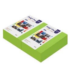 paperculture Print Pro 厚磅彩色影印紙 No.10 清新綠 205g 400張, 1個, A5