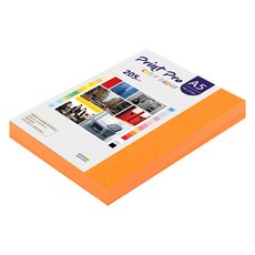 paperculture Print Pro 厚磅彩色影印紙 No.27 橘色 205g, A5, 100個