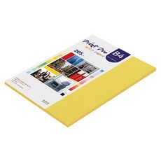 paperculture Print Pro 厚磅彩色影印紙 205g No.06 深黃色, 33個, B4