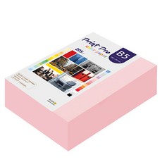 paperculture Print Pro 厚磅彩色影印紙 205g No.23 大波斯菊粉, B5, 264個