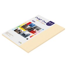 paperculture Print Pro 厚磅彩色影印紙 205g No.02 象牙白, 25個, A3