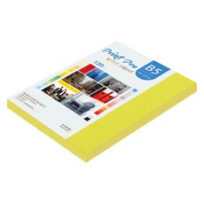 paperculture Print Pro 薄彩色影印紙 No 08 亮黃色 120g, 110個, B5
