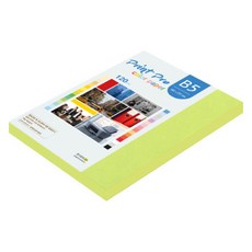 paperculture Print Pro 薄型彩色影印紙 No. 09 亮綠色 120g, 110張, B5