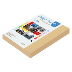 종이문화 프린트 프로 얇은 칼라복사지 No 04 버프 120g, 160개, A5