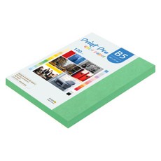 paperculture Print Pro 薄型彩色影印紙 No 11 深綠色 120g, 110個, B5